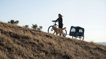 Dog Trailers