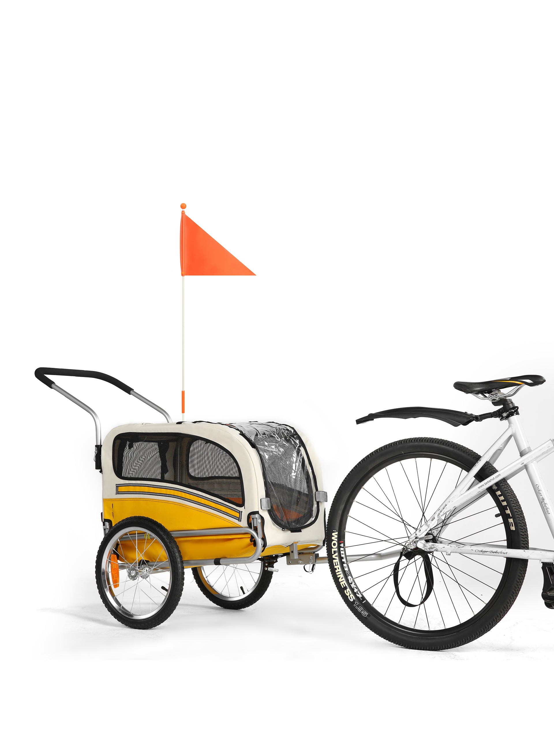 20303